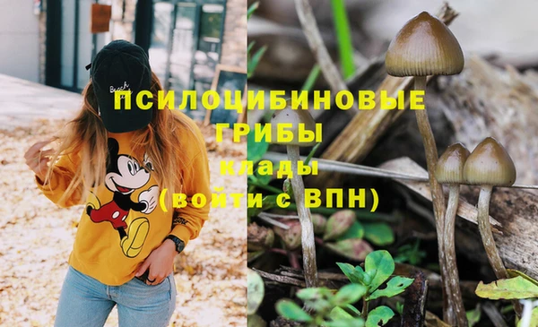 спайс Лагань